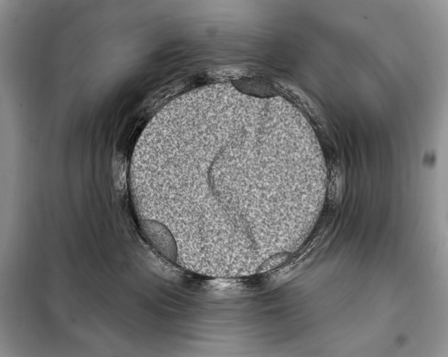 X0000098070477200805021002