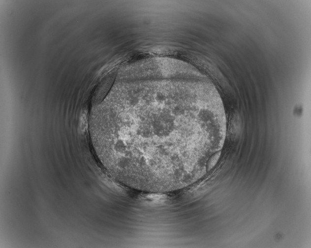 X0000098070478200805021002