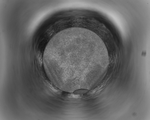 X0000098070479200805021002