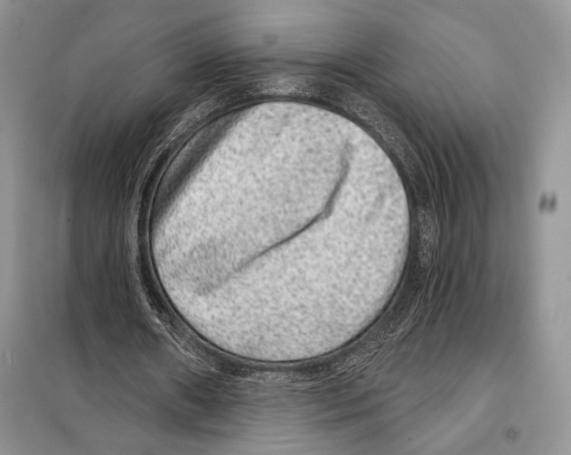 X0000098070482200805021001