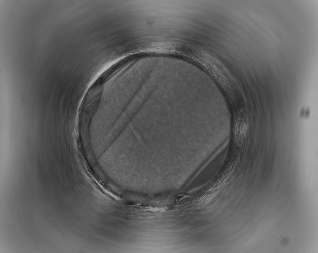 X0000098070484200805021001