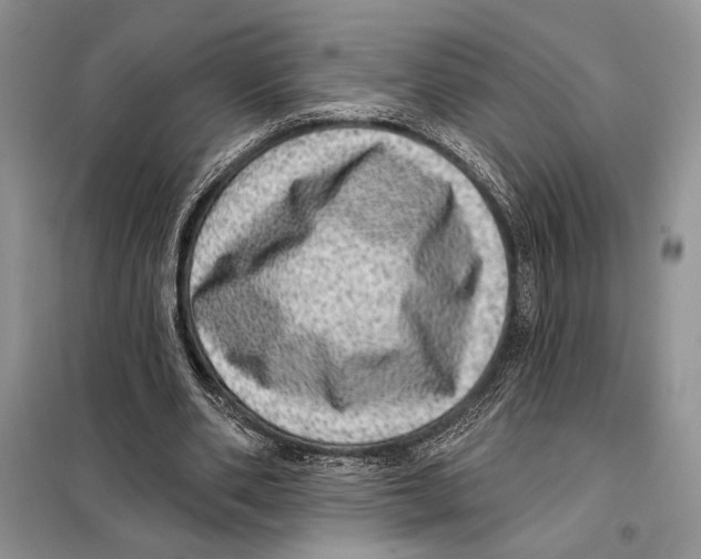 X0000098070486200805021001