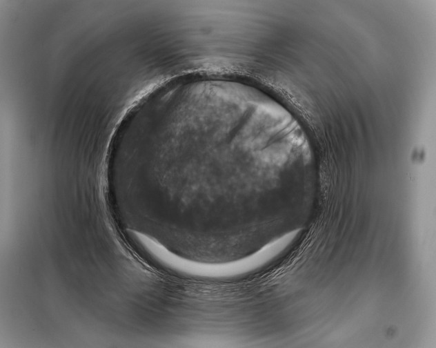 X0000098070488200805021001