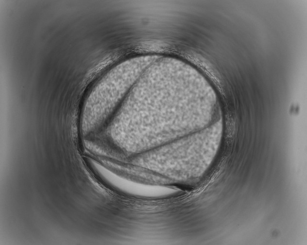 X0000098070489200805021001