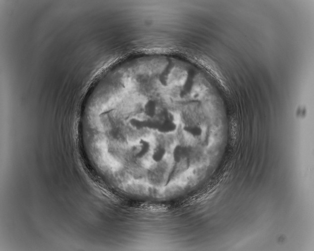 X0000098070491200805021001