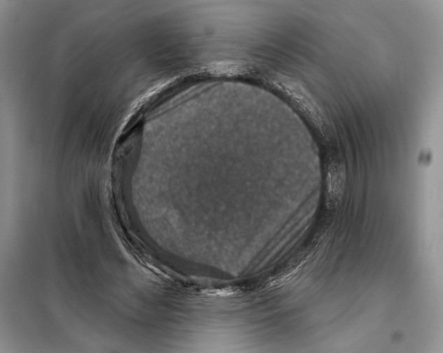 X0000098070492200805021001