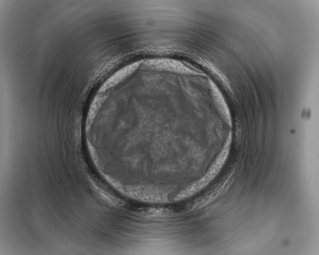 X0000098070493200805021001