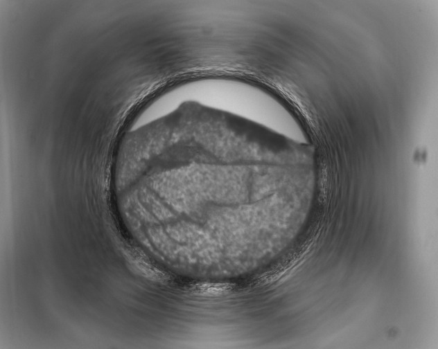 X0000098070495200805021001