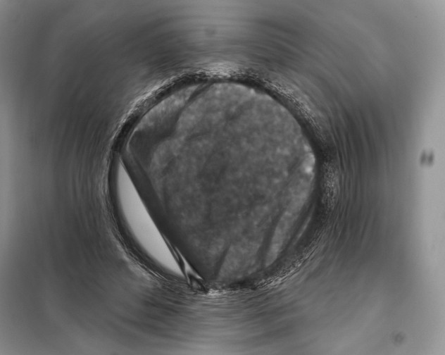 X0000098070496200805021001