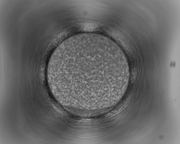 X0000098070497200805021001