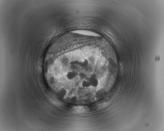 X0000098070499200805021001