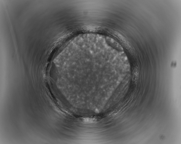 X0000098070500200805021001