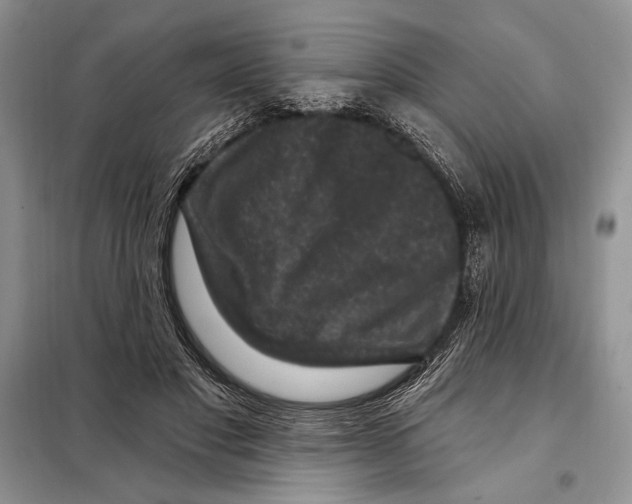 X0000098070501200805021001