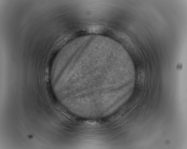 X0000098070502200805021001