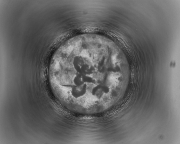 X0000098070503200805021001