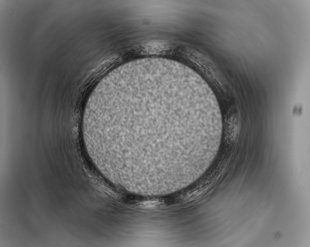 X0000098070505200805021001