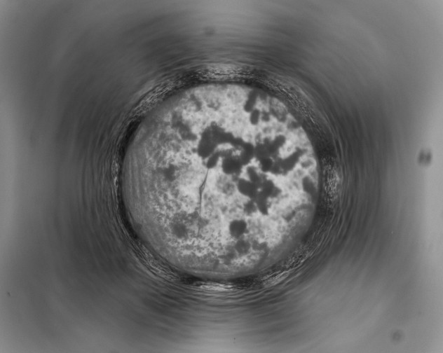 X0000098070507200805021001