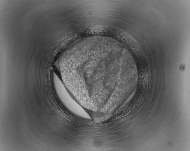 X0000098070508200805021001