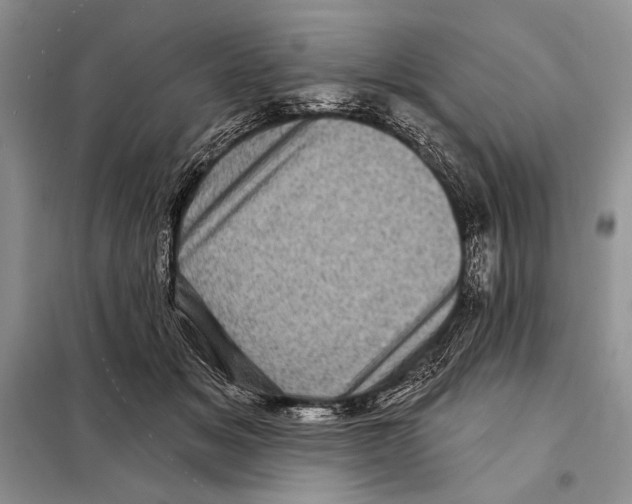 X0000098070509200805021001