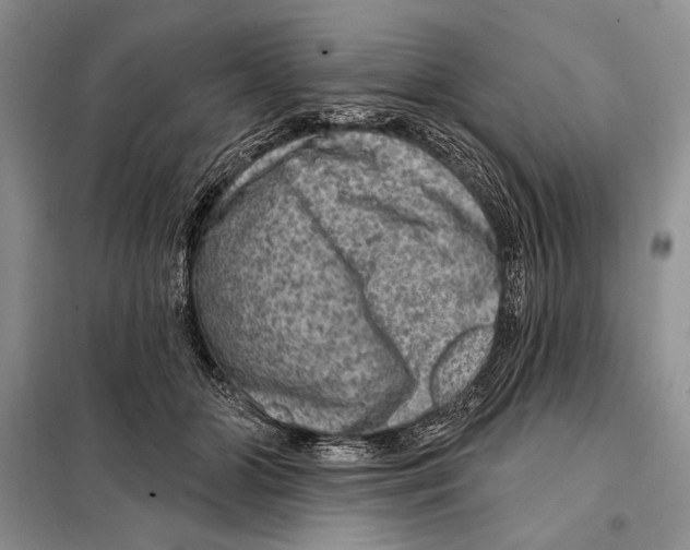 X0000098070510200805021001