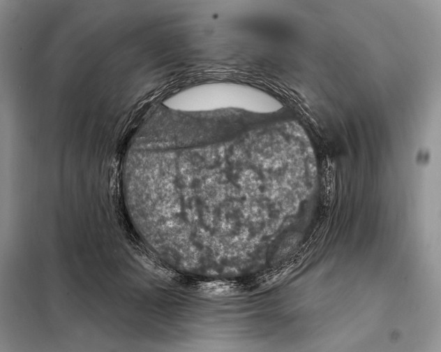 X0000098070511200805021001