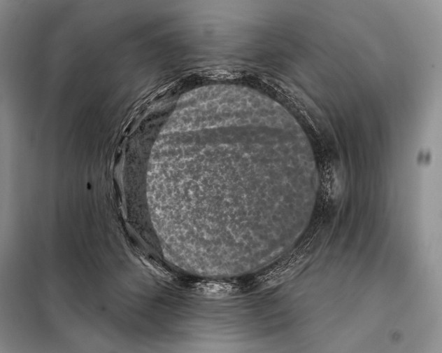 X0000098070512200805021001