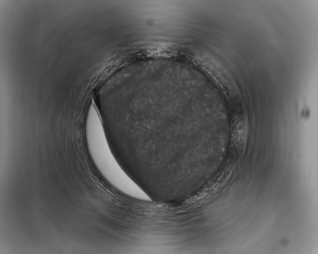 X0000098070513200805021001