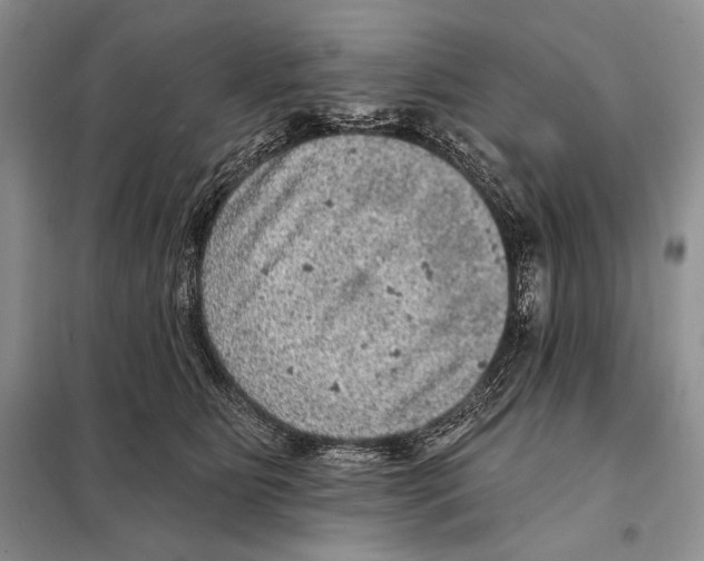 X0000098070515200805021001