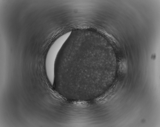 X0000098070517200805021001