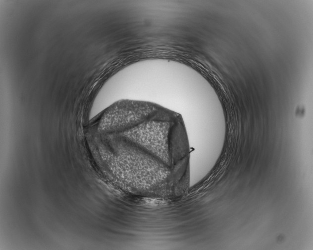 X0000098070520200805021001