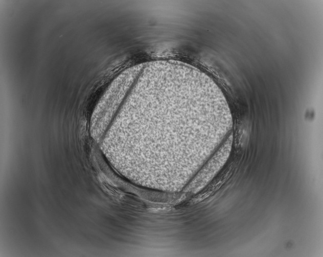 X0000098070521200805021001