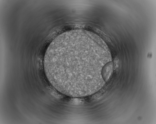 X0000098070522200805021001