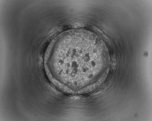 X0000098070523200805021001