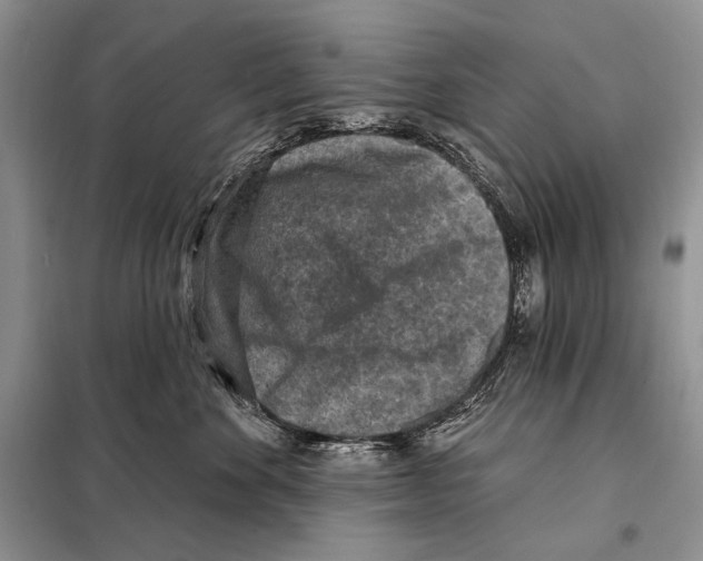 X0000098070524200805021001