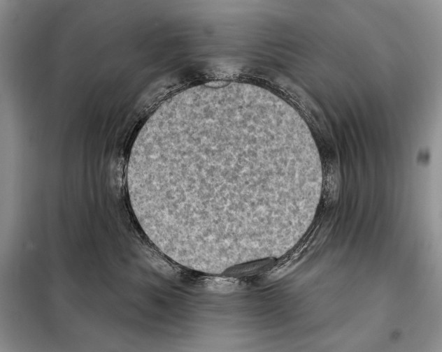 X0000098070525200805021001