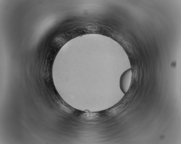 X0000098070526200805021001