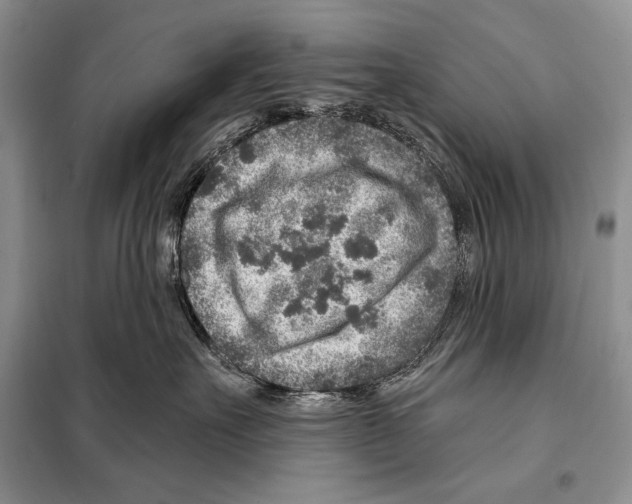 X0000098070527200805021001