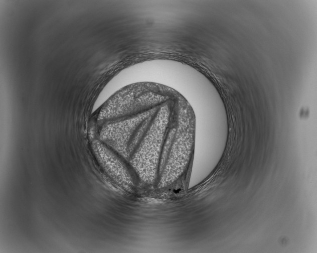 X0000098070528200805021001