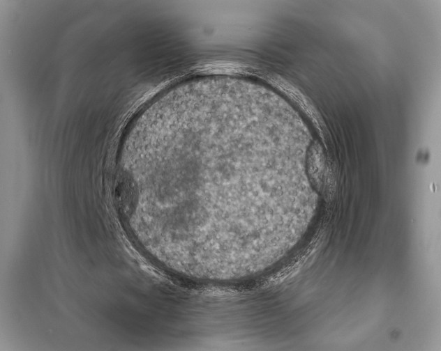 X0000098070529200805021000