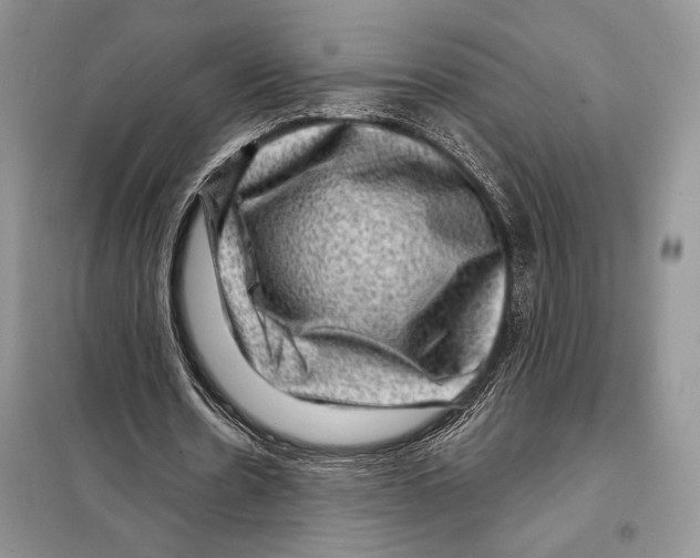 X0000098070530200805021000