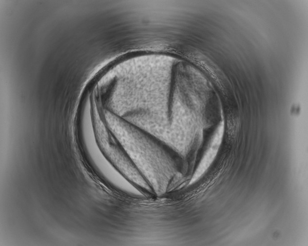 X0000098070532200805021000