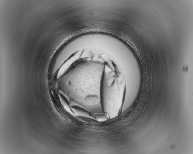 X0000098070534200805021000