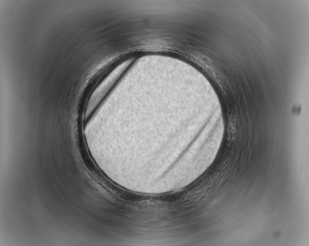 X0000098070535200805021000