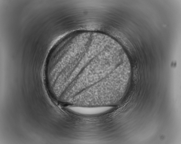 X0000098070536200805021000