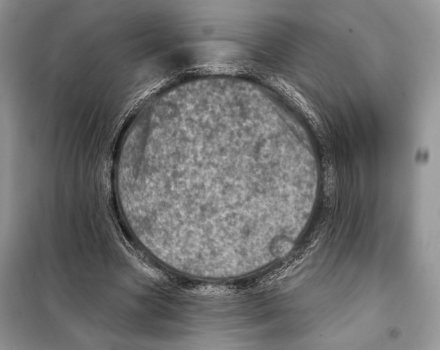 X0000098070537200805021000