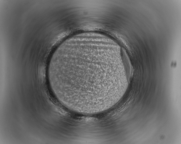 X0000098070539200805021000