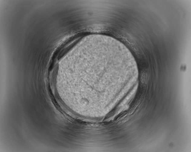 X0000098070540200805021000