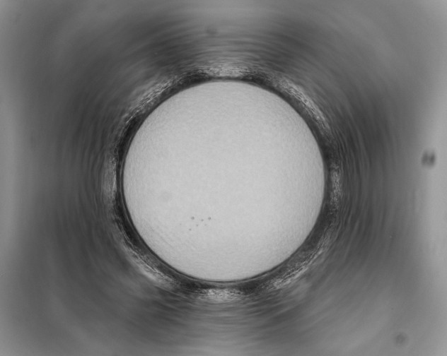 X0000098070541200805021000