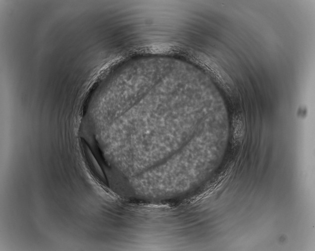 X0000098070542200805021000