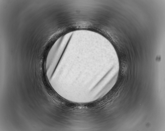 X0000098070543200805021000